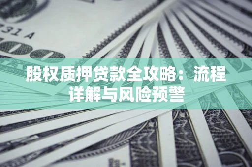 武汉股权质押贷款全攻略：流程详解与风险预警