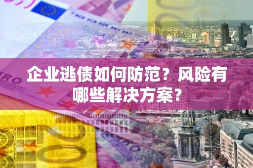 武汉企业逃债如何防范？风险有哪些解决方案？