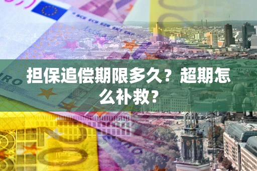 武汉担保追偿期限多久？超期怎么补救？